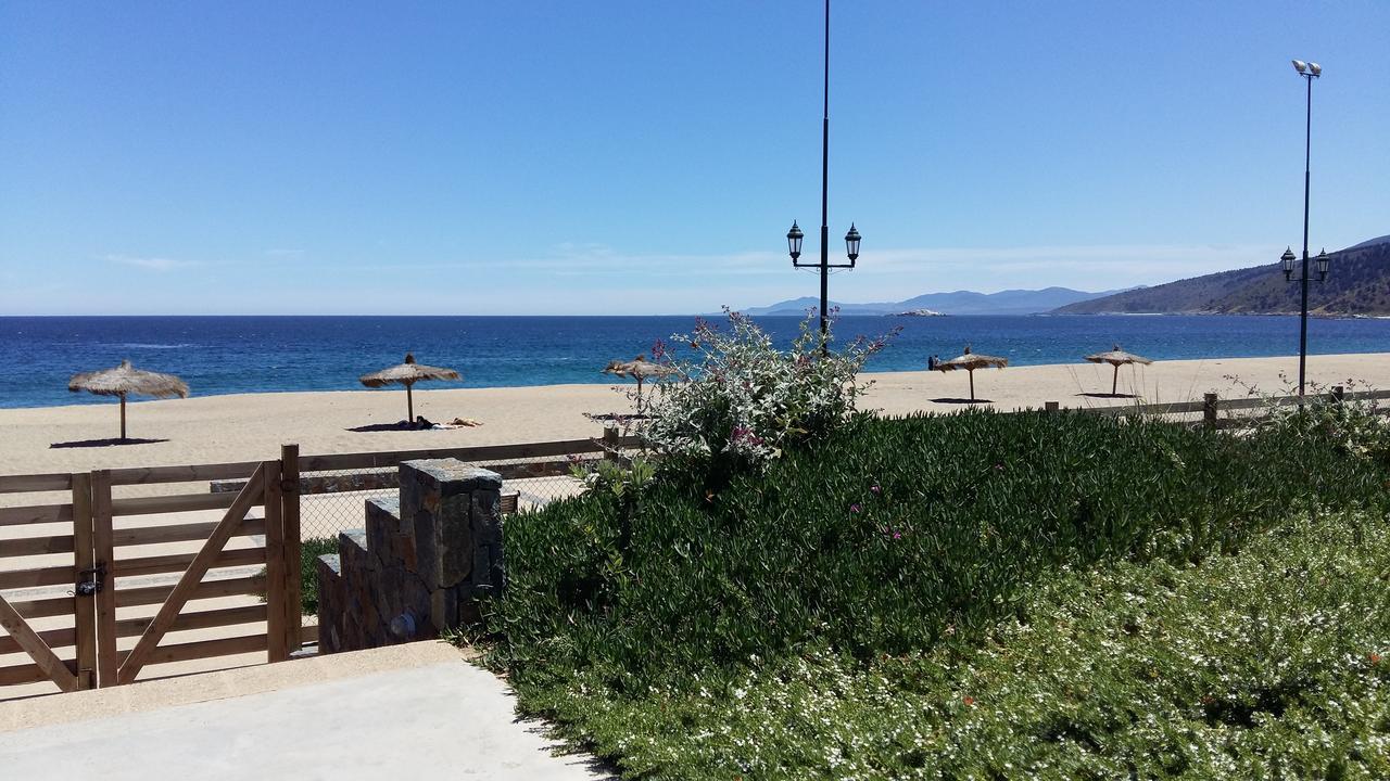 Papudo Laguna Vista Al Mar Y Piscina エクステリア 写真